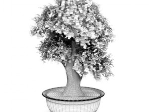 bonsai tree 3D 모델
