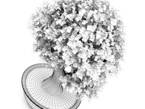 bonsai tree 3D 모델