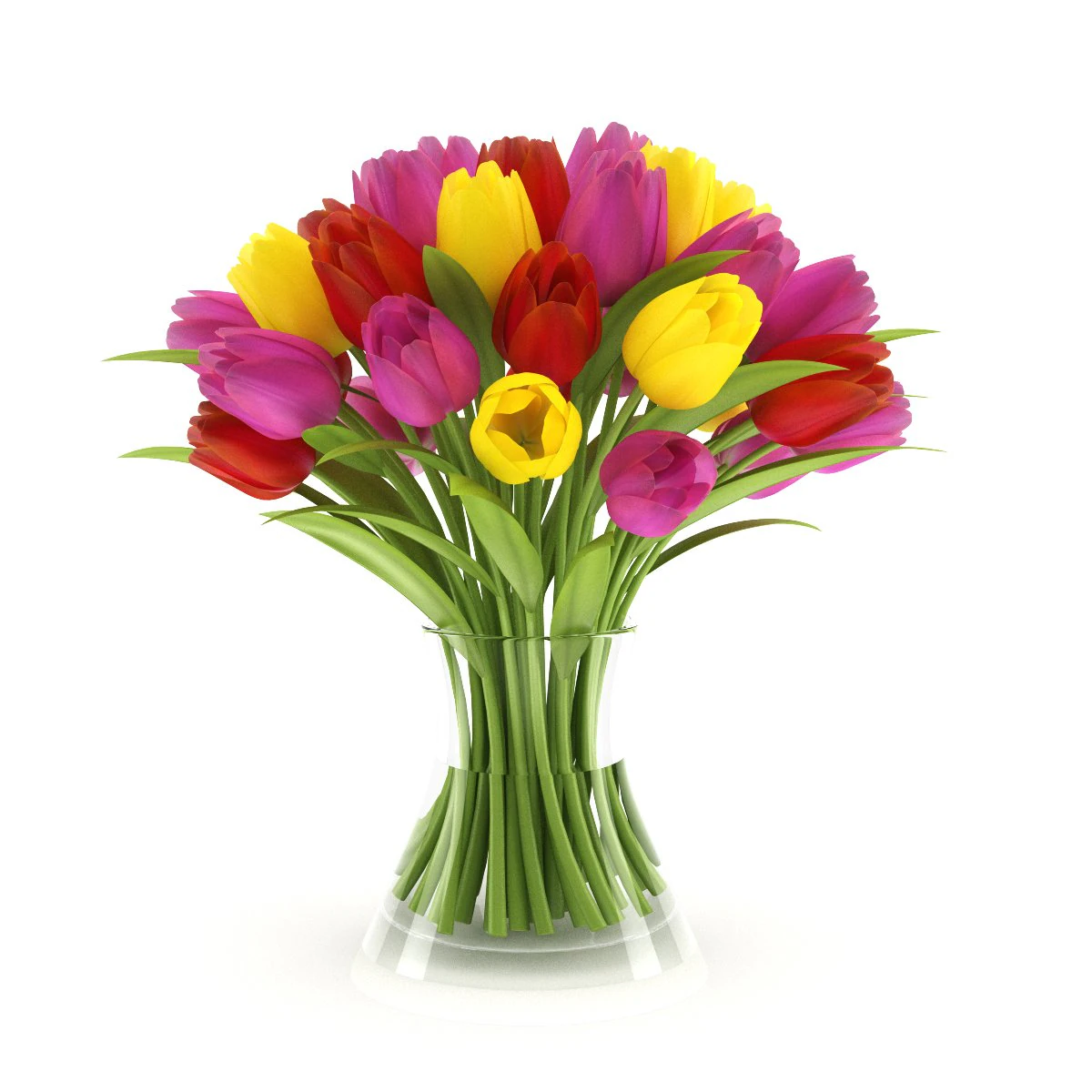 threecolor tulips 3D Model .c4d .max .obj .3ds .fbx .stl .blend 