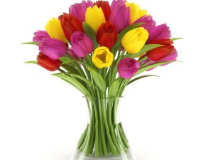 threecolor tulips 3D Модель