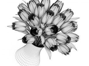 threecolor tulips Modèle 3D