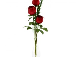 roses in flask 3D Модель