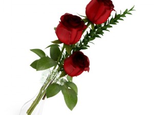 roses in flask Modèle 3D