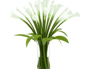 lilies in vase 3D Модель