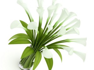 lilies in vase Modelo 3D