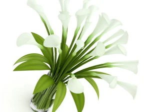 lilies in vase 3D Model