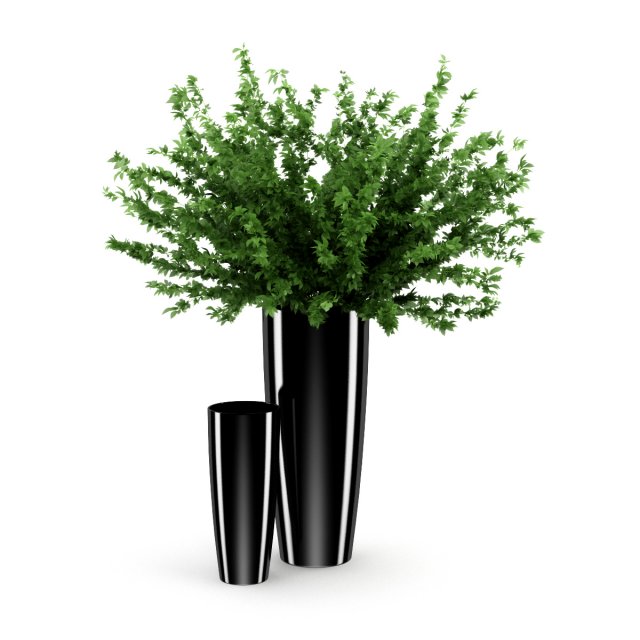 plant in black pot Modello 3D .c4d .max .obj .3ds .fbx .stl .blend 