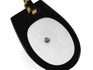 black bidet Model 3D