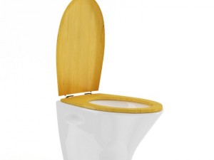 toilet bowl with wooden elements Model 3D
