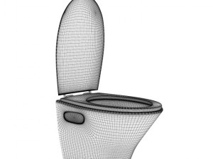 toilet bowl with wooden elements Model 3D