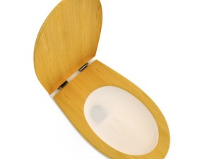 toilet bowl with wooden elements Model 3D