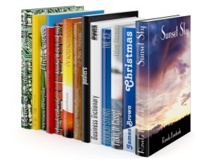 books set 05 3D 模型