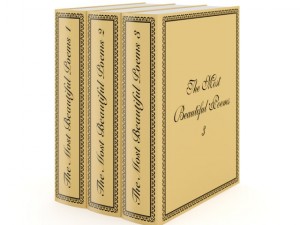 books set 08 Modèle 3D
