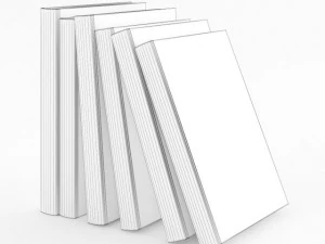 books set 10 3D Model