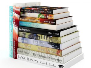 books set 13 3D Model