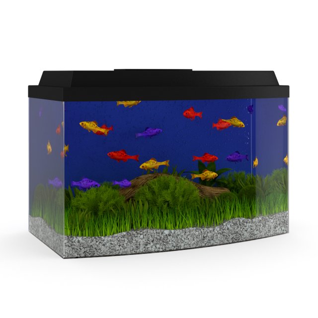 black top aquarium 3D-Modell .c4d .max .obj .3ds .fbx .stl .blend 