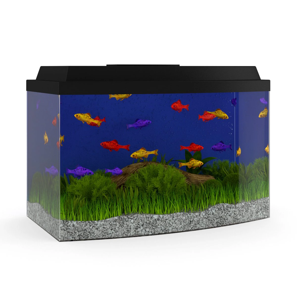 black top aquarium 3D Model .c4d .max .obj .3ds .fbx .stl .blend 