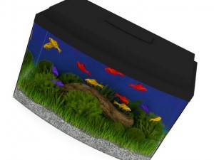 black top aquarium 3D-Modell