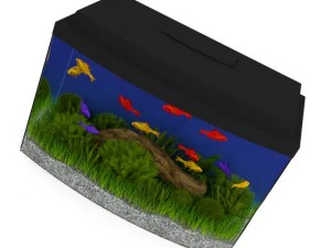 black top aquarium 3D Model