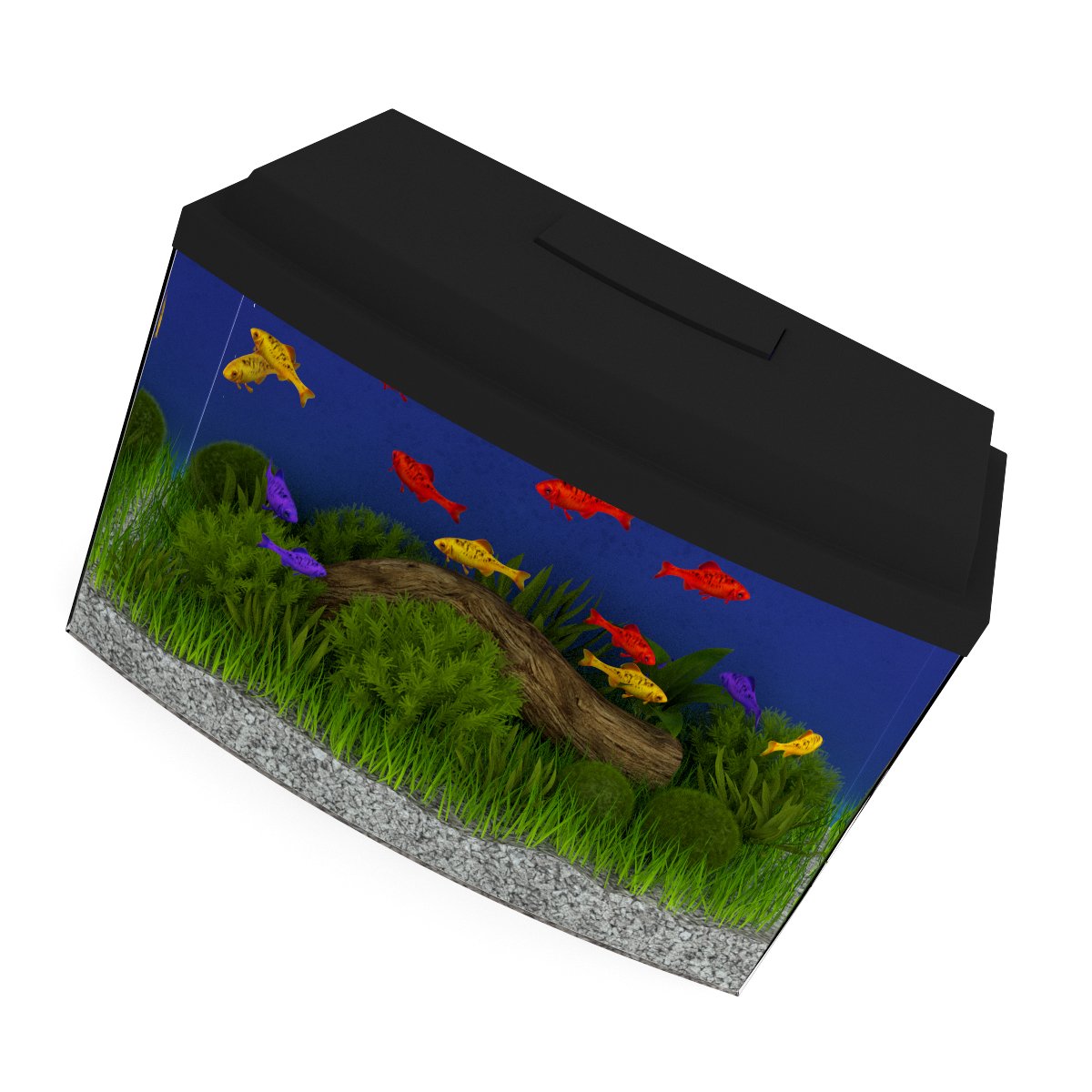 Aquarium bowl 3D model