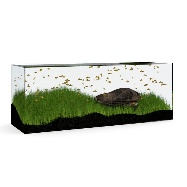 rectangular aquarium Modello 3D .c4d .max .obj .3ds .fbx .stl .blend 