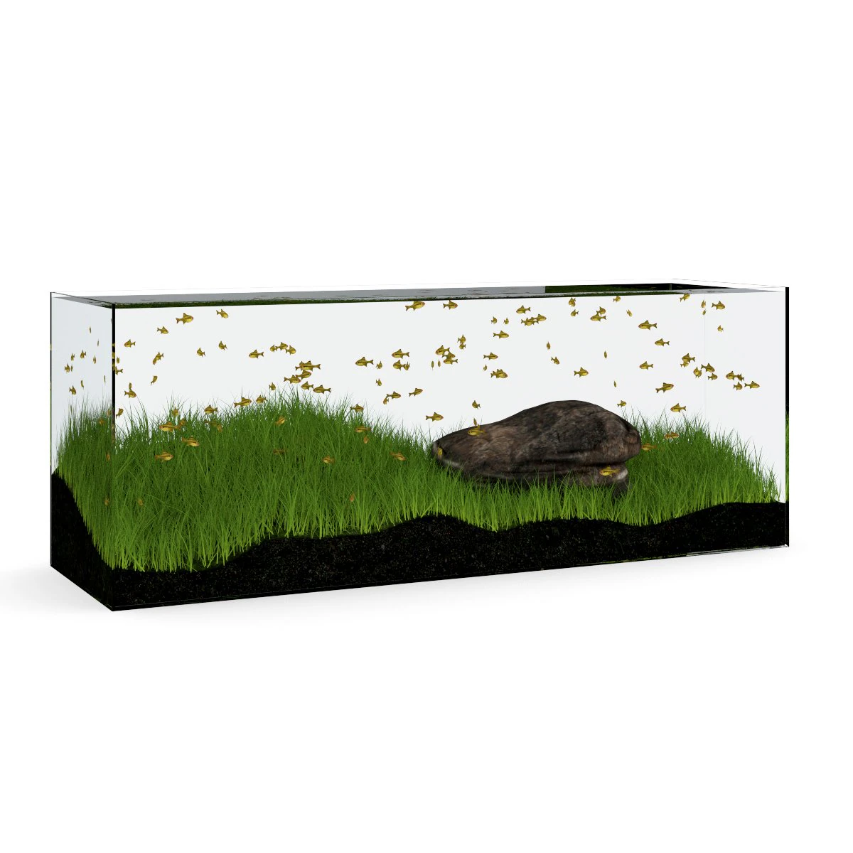 rectangular aquarium 3D Model .c4d .max .obj .3ds .fbx .stl .blend 