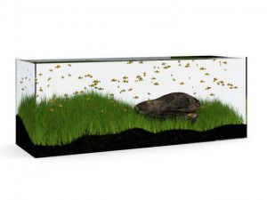 rectangular aquarium Modelo 3D