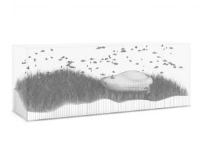 rectangular aquarium Modello 3D