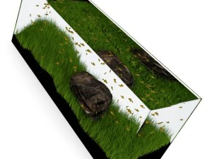 rectangular aquarium 3D Model