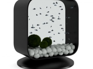 modern rectangular aquarium 3D Модель