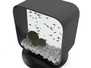 modern rectangular aquarium 3D Model