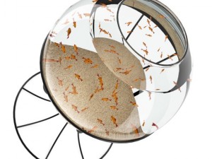 spherical aquarium Modèle 3D