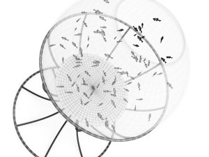 spherical aquarium Modèle 3D