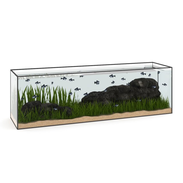 large rectangular aquarium 3D Model .c4d .max .obj .3ds .fbx .stl .blend 