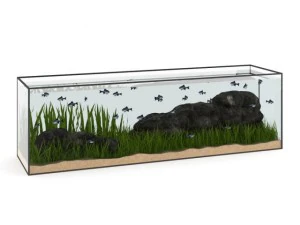 large rectangular aquarium 3D Model