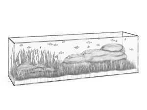 large rectangular aquarium 3D Model
