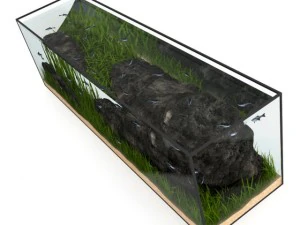 large rectangular aquarium 3D Model
