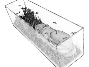 large rectangular aquarium 3D Model