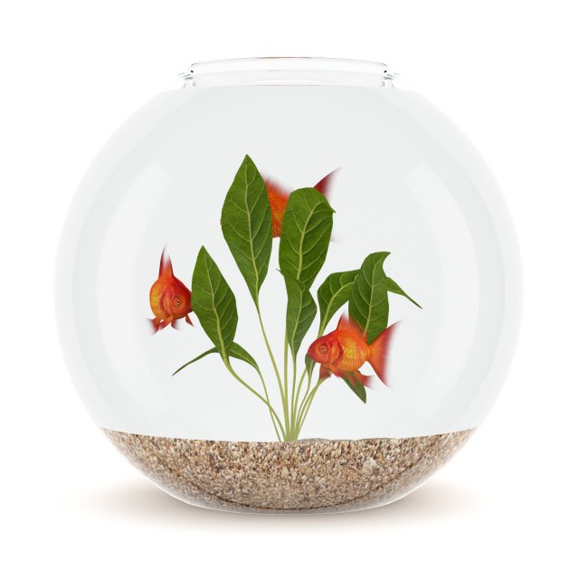 small sperical aquarium Model 3D .c4d .max .obj .3ds .fbx .stl .blend 