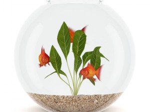 small sperical aquarium 3D Model