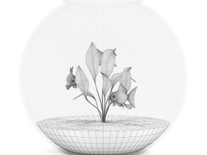 small sperical aquarium Model 3D