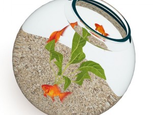 small sperical aquarium Model 3D