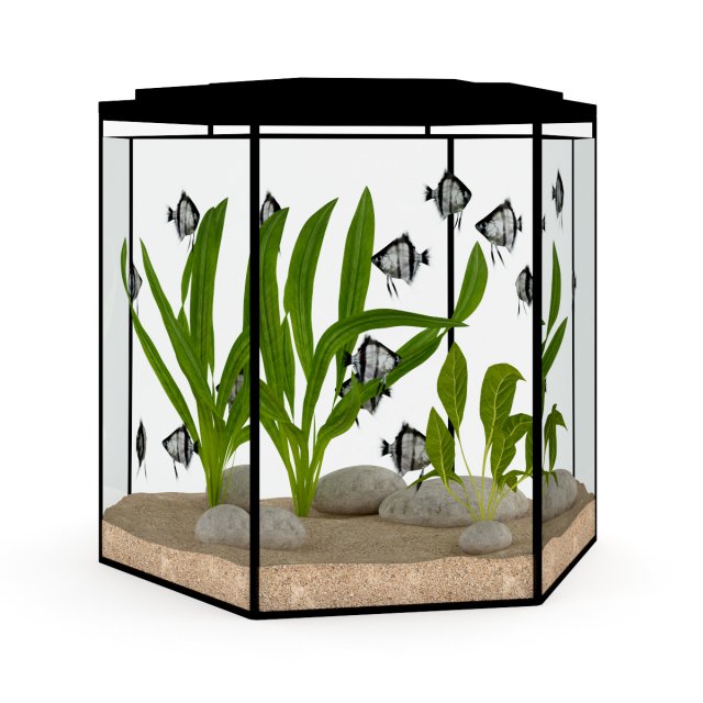 hexagonal aquarium 3D Model .c4d .max .obj .3ds .fbx .stl .blend 