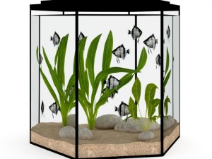 hexagonal aquarium 3D Model