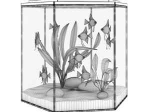 hexagonal aquarium 3D Model