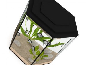 hexagonal aquarium 3D Model