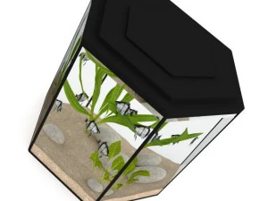 hexagonal aquarium 3D Model