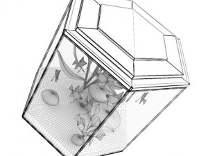 hexagonal aquarium 3D Model