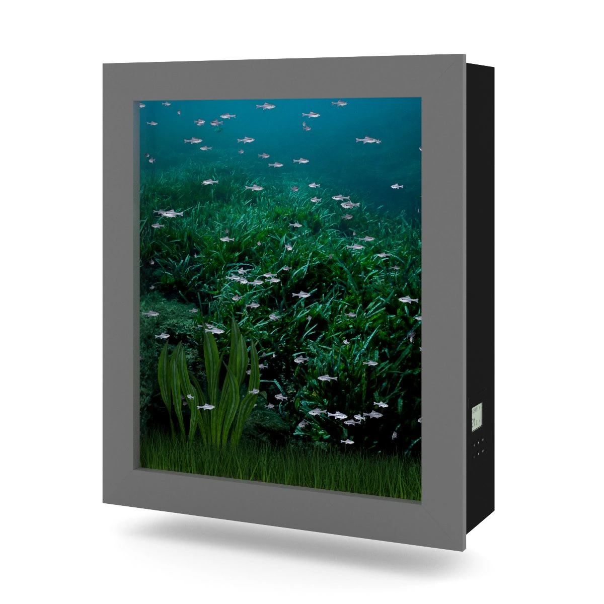wallmounted aquarium 3D Model .c4d .max .obj .3ds .fbx .stl .blend 