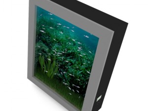 wallmounted aquarium 3D 모델